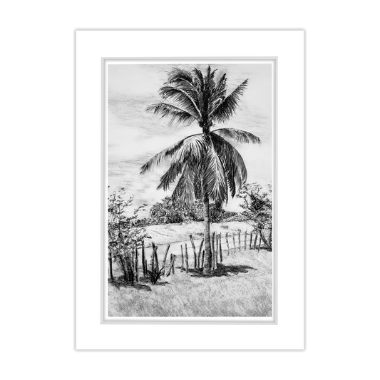 Free 5x7 Matted Print (4x6 Image) - Palm Tree in Belize