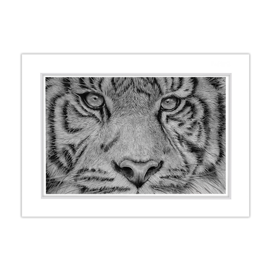 Free 5x7 Matted Print (4x6 Image) - Tiger Eyes
