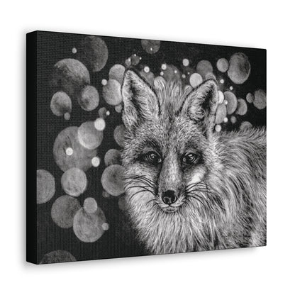 Curious Fox - Canvas Gallery Wrap Print