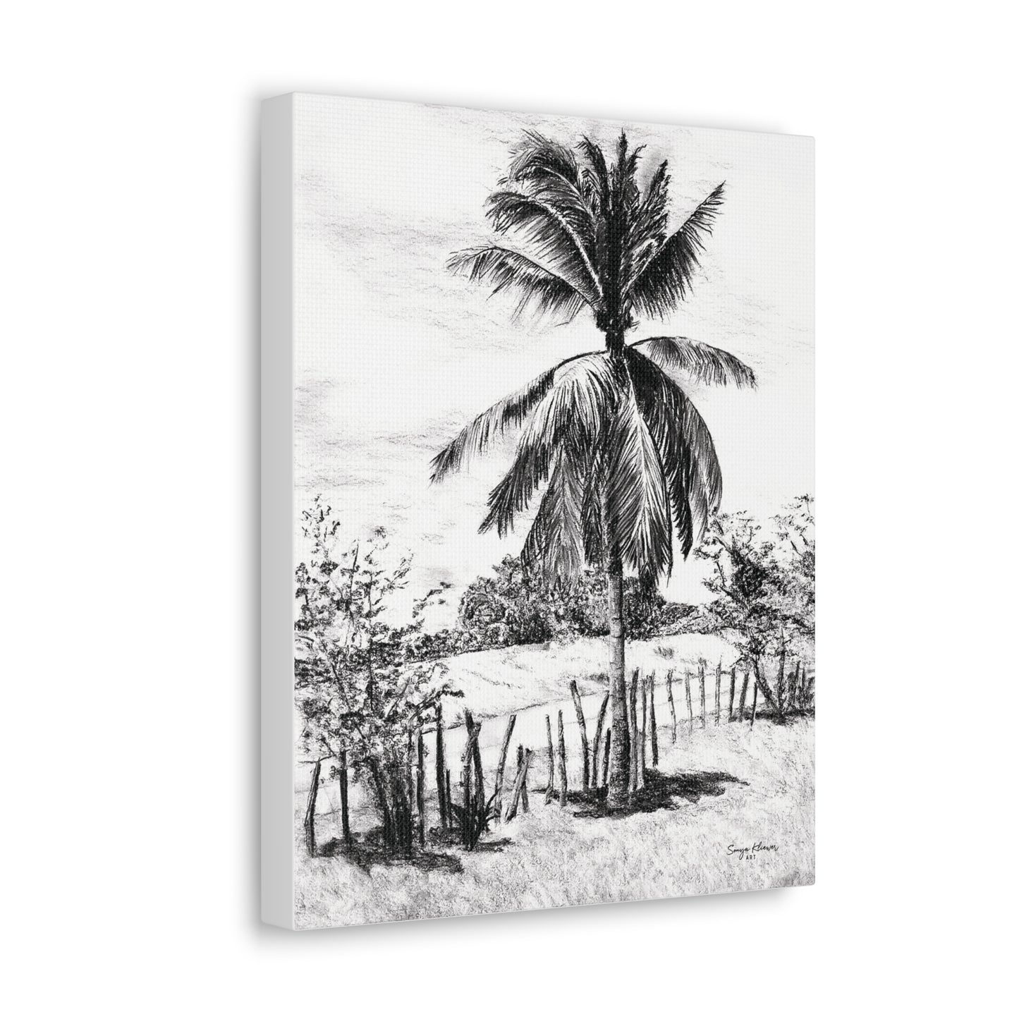 Palm Tree in Belize - Canvas Gallery Wrap Print