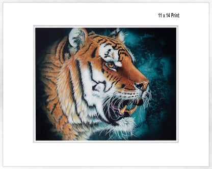 Tiger Portrait - Fine Art Paper Print