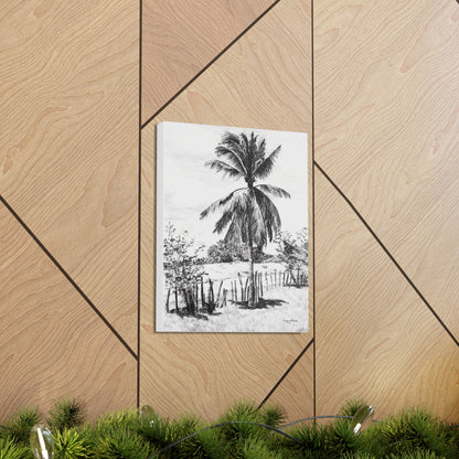 Palm Tree in Belize - Canvas Gallery Wrap Print