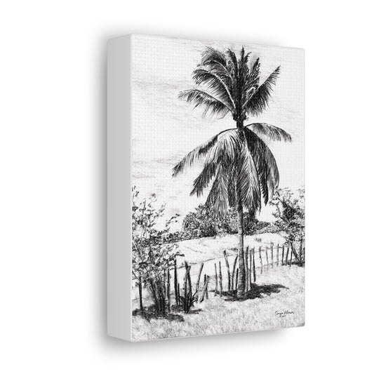 Palm Tree in Belize - Canvas Gallery Wrap Print