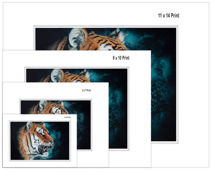 Tiger Portrait - Fine Art Paper Print