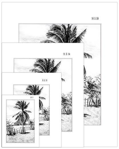 Palm Tree in Belize - Print
