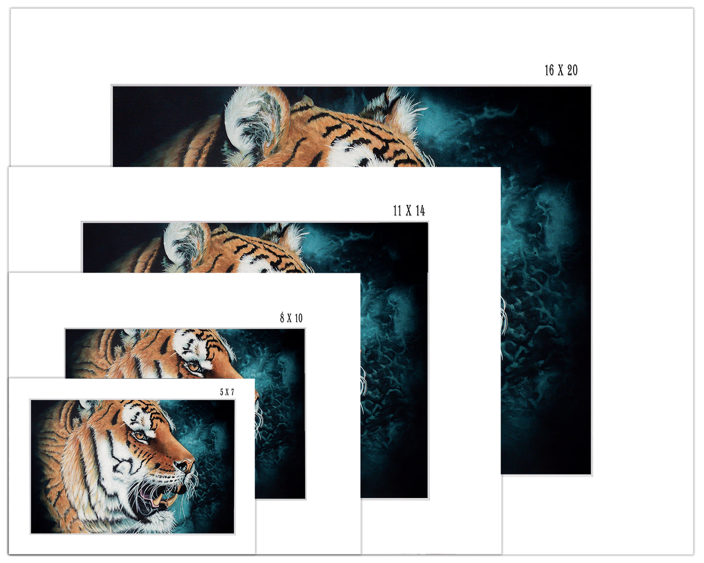 Tiger Portrait - Print