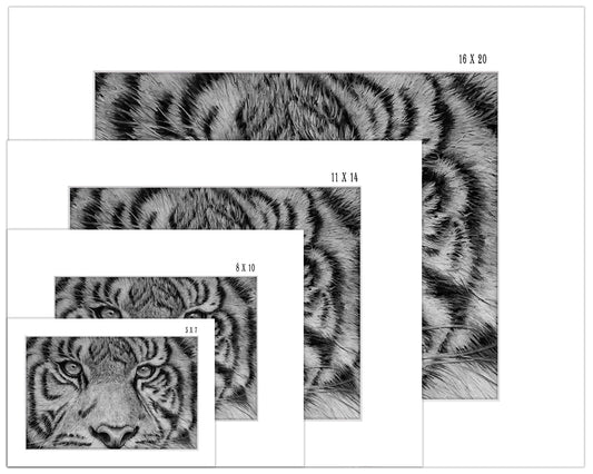 Tiger Eyes - Print