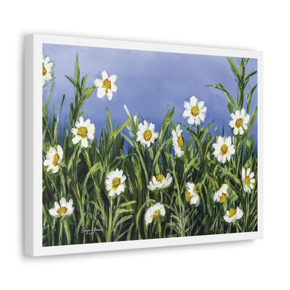 Wild Daisies - Canvas Gallery Wrap Print