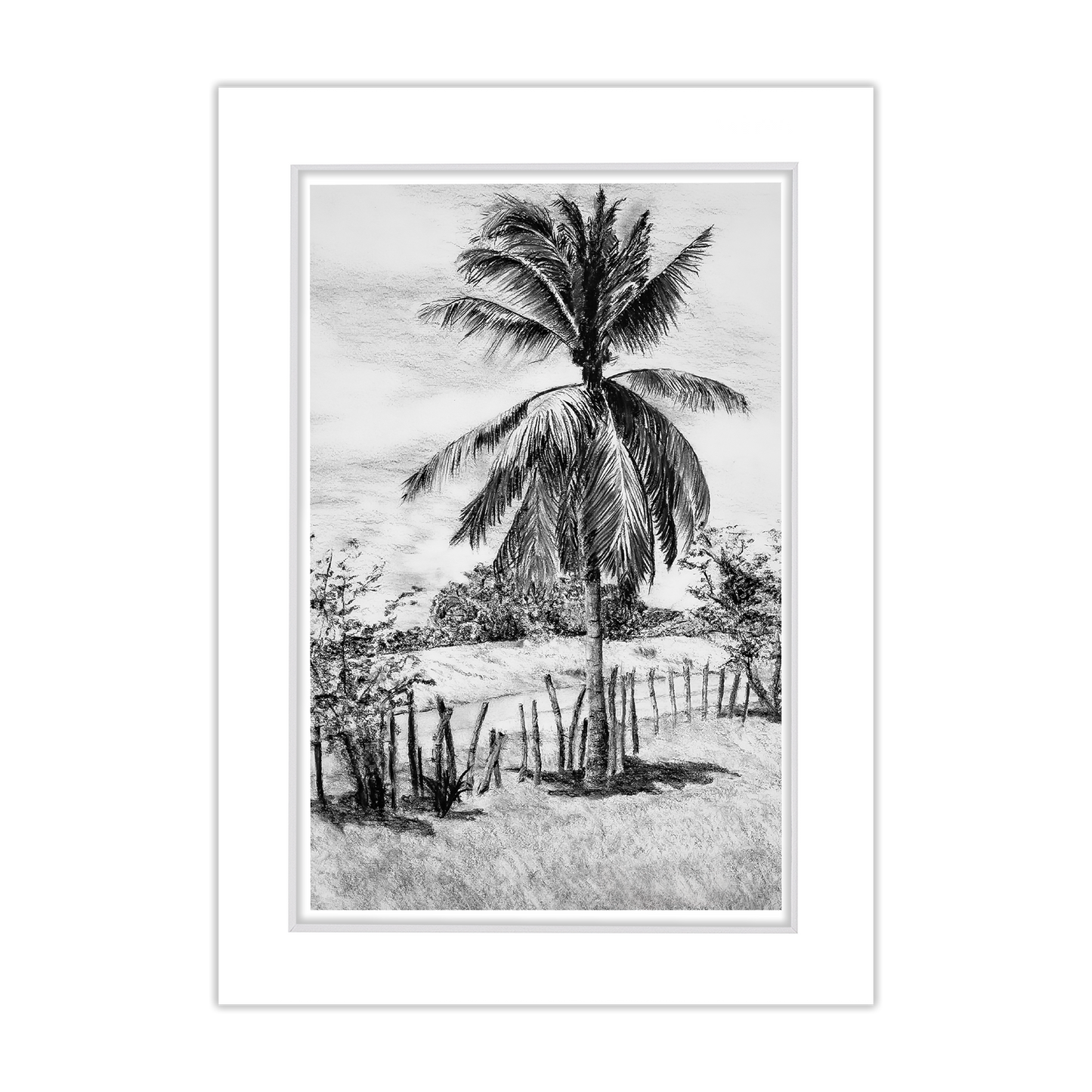 Free 5x7 Matted Print (4x6 Image) - Palm Tree in Belize