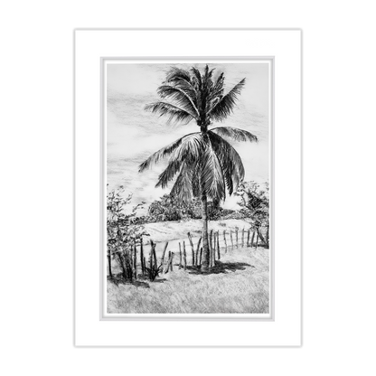 Free 5x7 Matted Print (4x6 Image) - Palm Tree in Belize