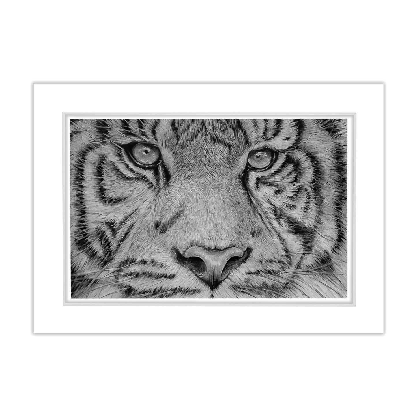 Free 5x7 Matted Print (4x6 Image) - Tiger Eyes