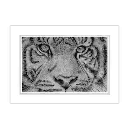 Free 5x7 Matted Print (4x6 Image) - Tiger Eyes