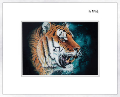 Tiger Portrait - Fine Art Paper Print