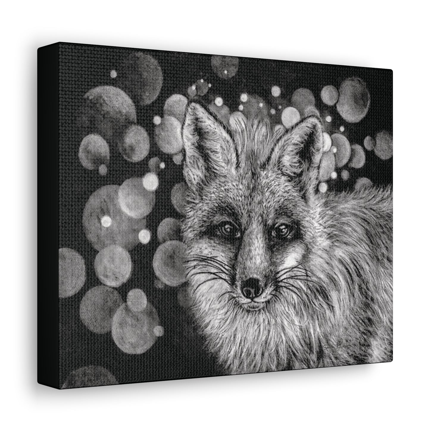 Curious Fox - Canvas Gallery Wrap Print