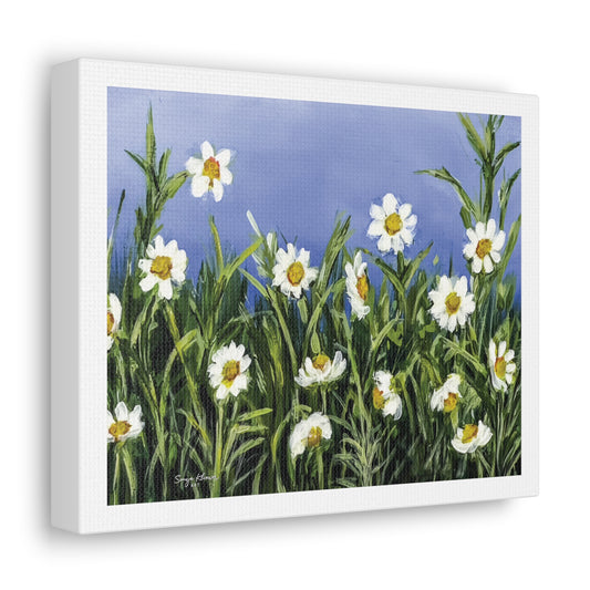 Wild Daisies - Canvas Gallery Wrap Print