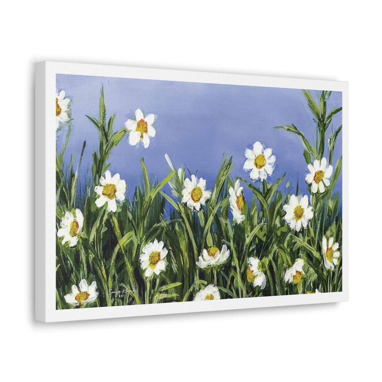 Wild Daisies - Canvas Gallery Wrap Print