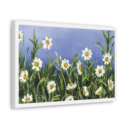 Wild Daisies - Canvas Gallery Wrap Print