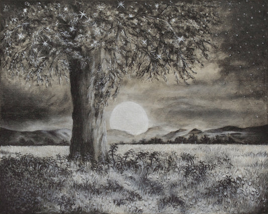 Moonlit Night - Print