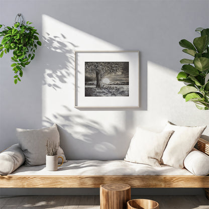 Moonlit Night - Print