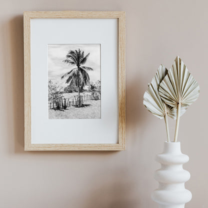 Palm Tree in Belize - Print