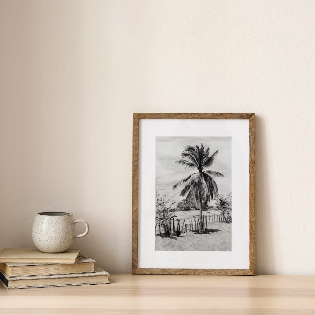 Palm Tree in Belize - Print