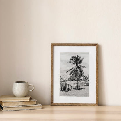 Palm Tree in Belize - Print