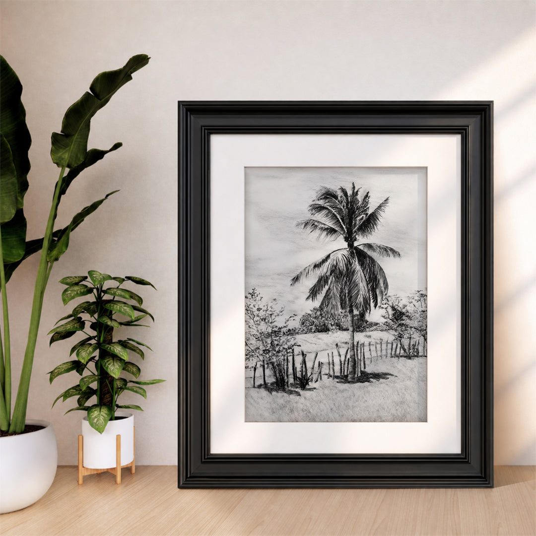 Palm Tree in Belize - Print