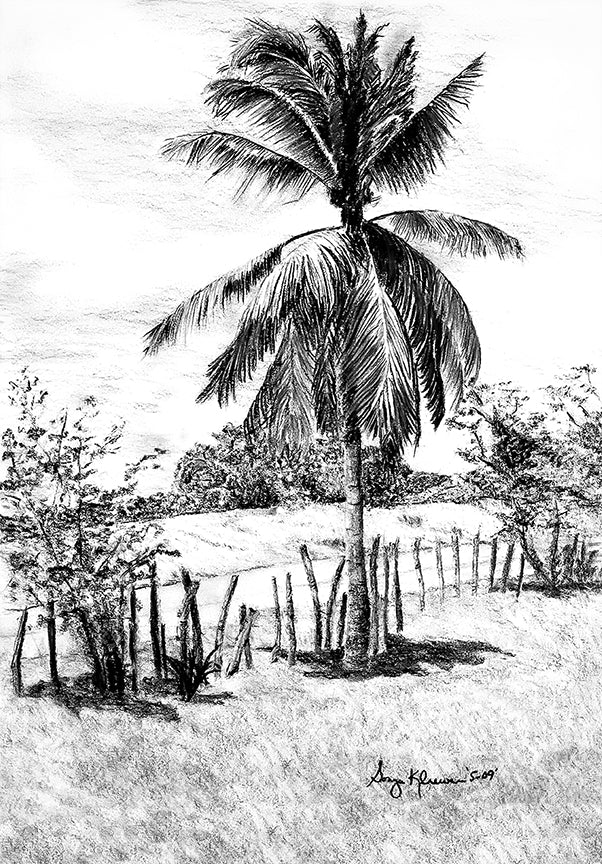 Free 5x7 Matted Print (4x6 Image) - Palm Tree in Belize