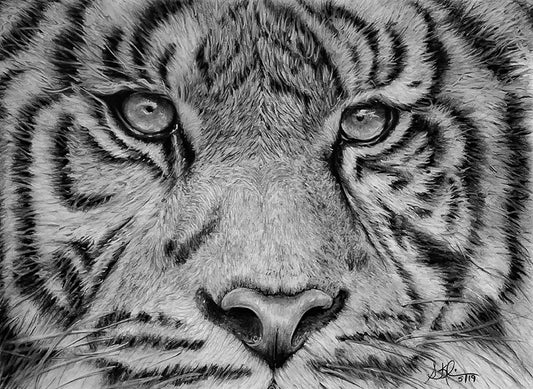 Tiger Eyes - Original for Sale