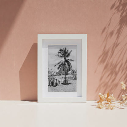 Palm Tree in Belize - Print